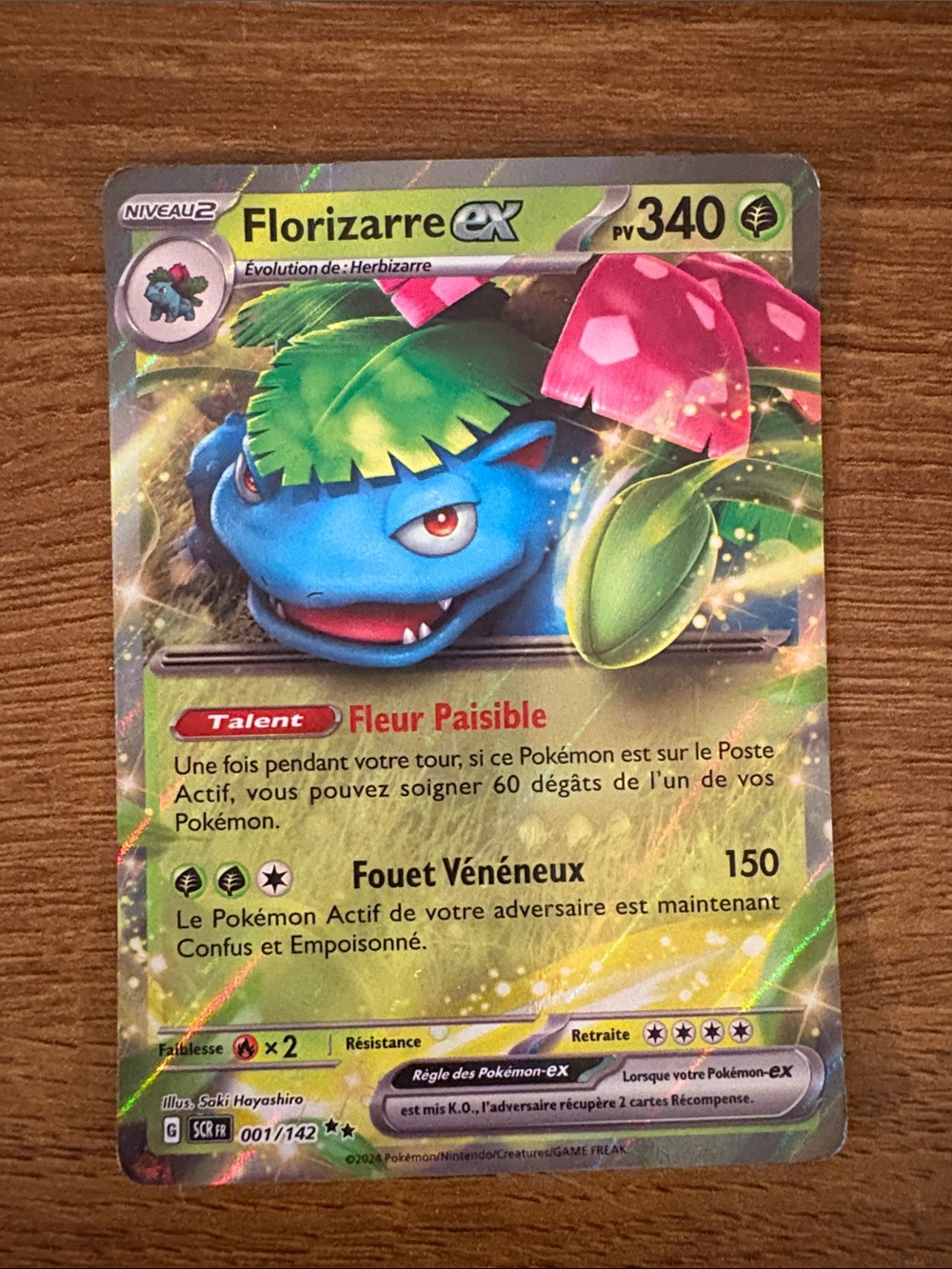 Pokemon Florizarre ex Card - Green & Pink